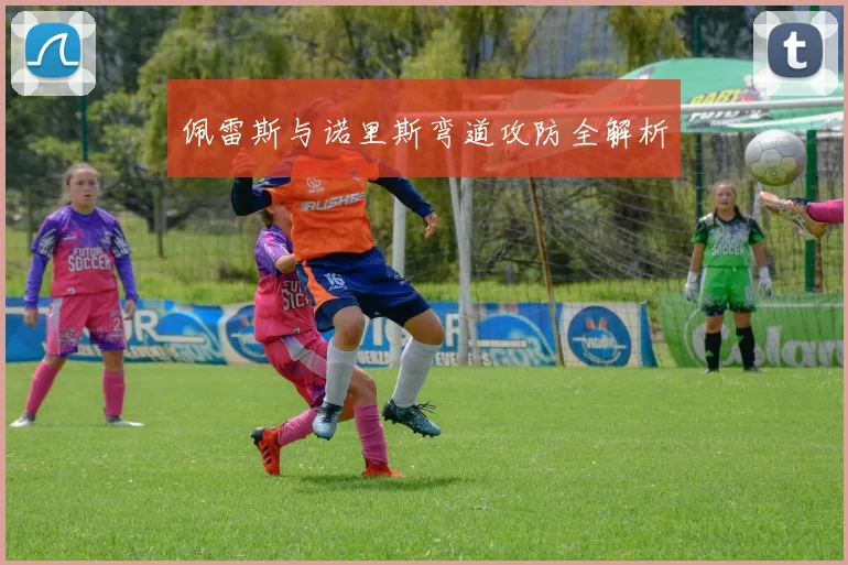 佩雷斯与诺里斯弯道攻防全解析